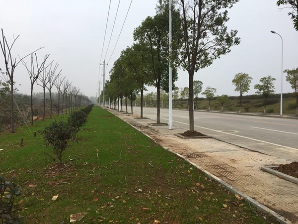 九江赤码工业大道（一级公路）